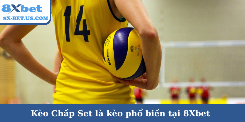 Kèo Chấp Set là kèo phổ biến tại 8Xbet
