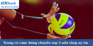 Trang cá cược bóng chuyền