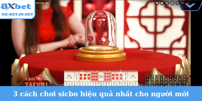 3 cách chơi sicbo hiệu quả nhất cho người mới