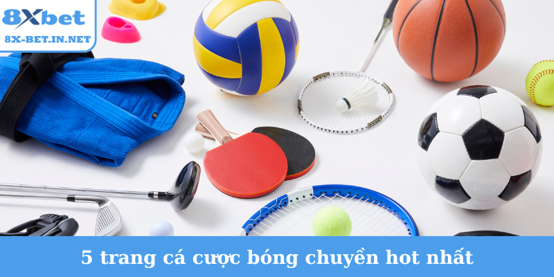 5 trang cá cược bóng chuyền hot nhất