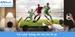 cá cược bóng đá tài xỉu là gì