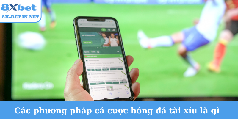 Các phương pháp cá cược bóng đá tài xỉu là gì