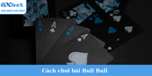 cách chơi bài bull bull