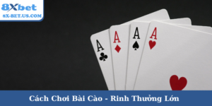Cách chơi bài cào