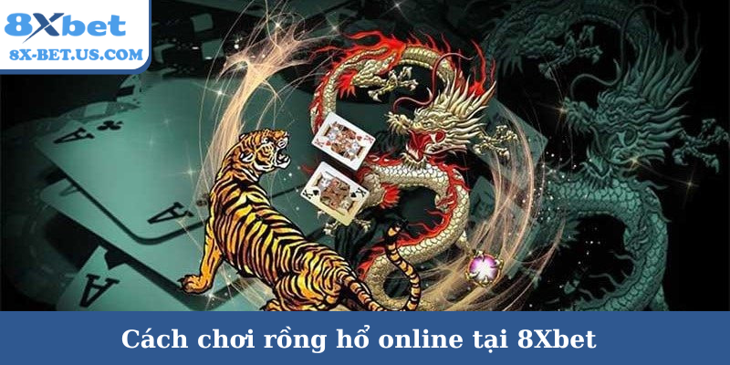 Cách chơi rồng hổ online tại 8Xbet