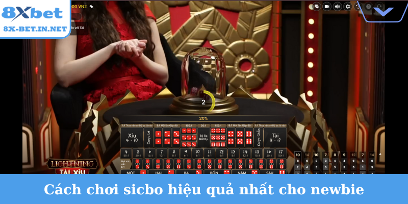 Cách chơi sicbo hiệu quả nhất cho newbie