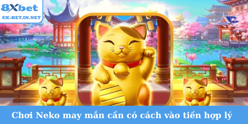Chơi Neko may mắn cần có cách vào tiền hợp lý