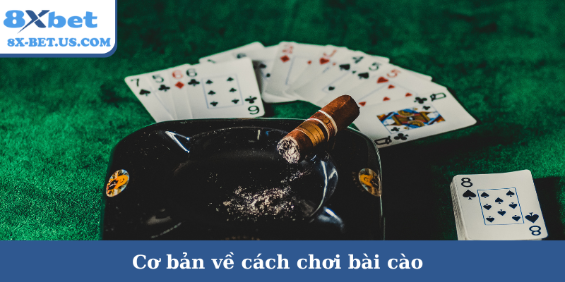 Cơ bản về cách chơi bài cào