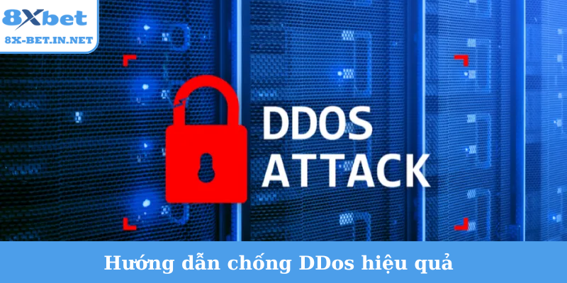 Hướng dẫn chống DDos hiệu quả