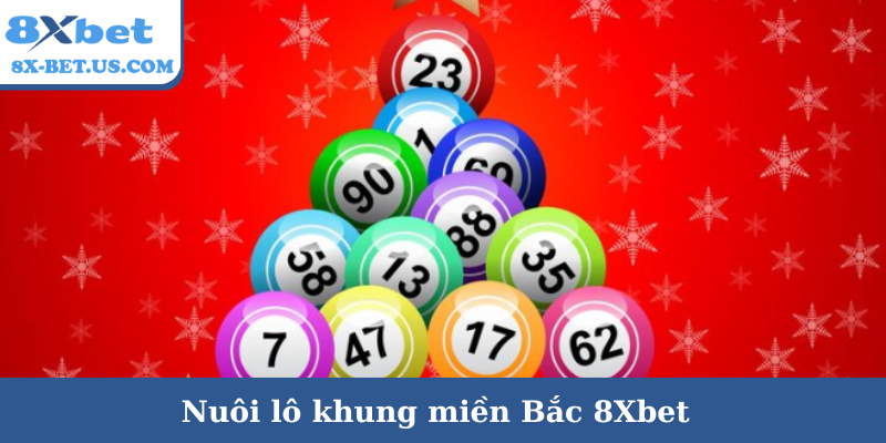 Nuôi lô khung miền Bắc 8Xbet