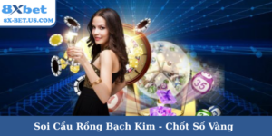 Soi cầu Rồng Bạch Kim