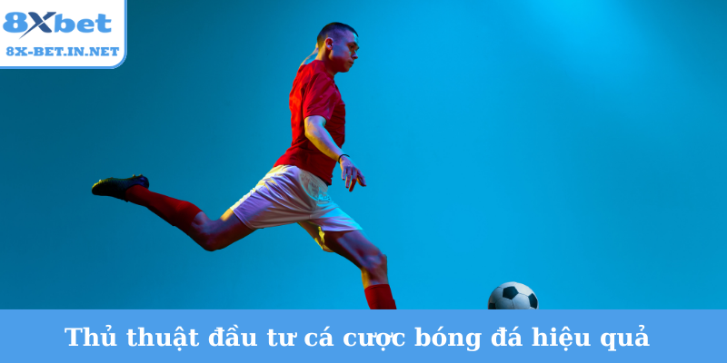 Thủ thuật đầu tư cá cược bóng đá hiệu quả