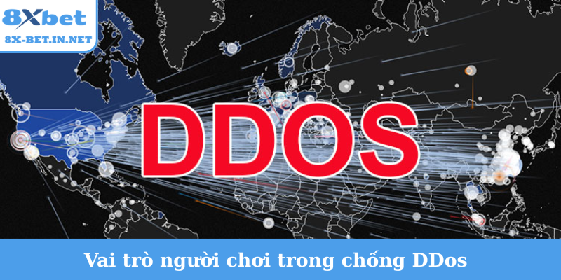 Vai trò người chơi trong chống DDos
